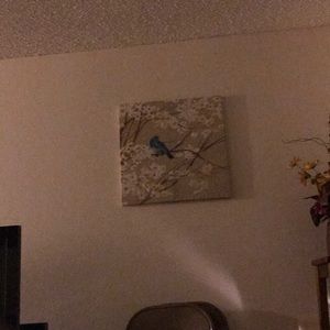 Meet your Posher, Marisela